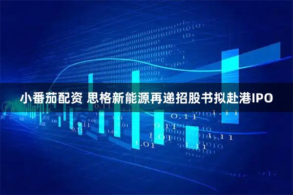 小番茄配资 思格新能源再递招股书拟赴港IPO