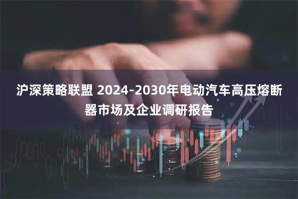 沪深策略联盟 2024-2030年电动汽车高压熔断器市场及企业调研报告