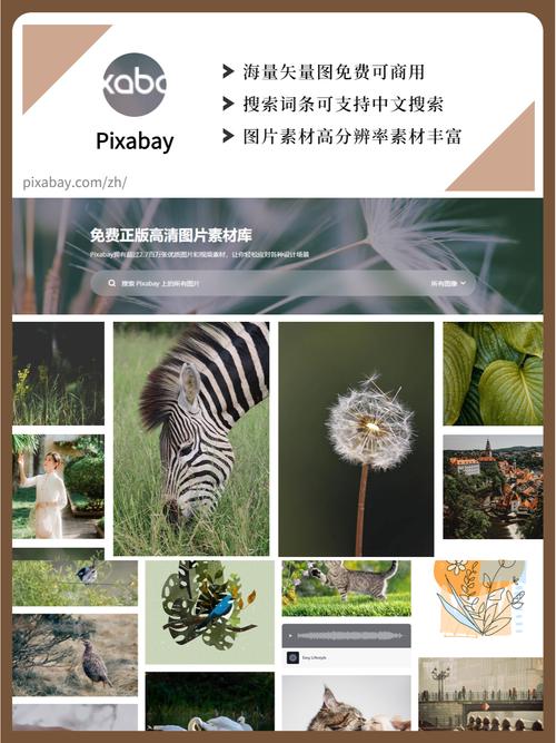 admin 第145页