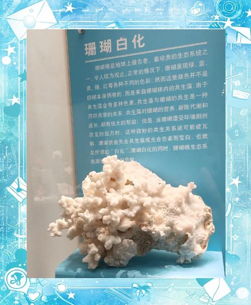新闻中心 第30页