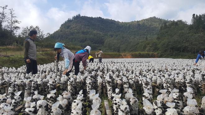 下载中心 第8页
